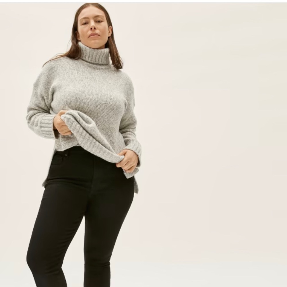 Everlane Curvy High-Rise Skinny Jean - NWT
